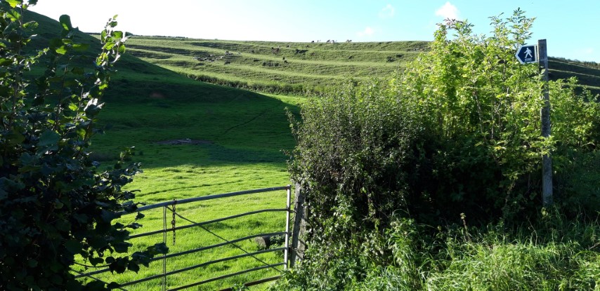 The Lynchets